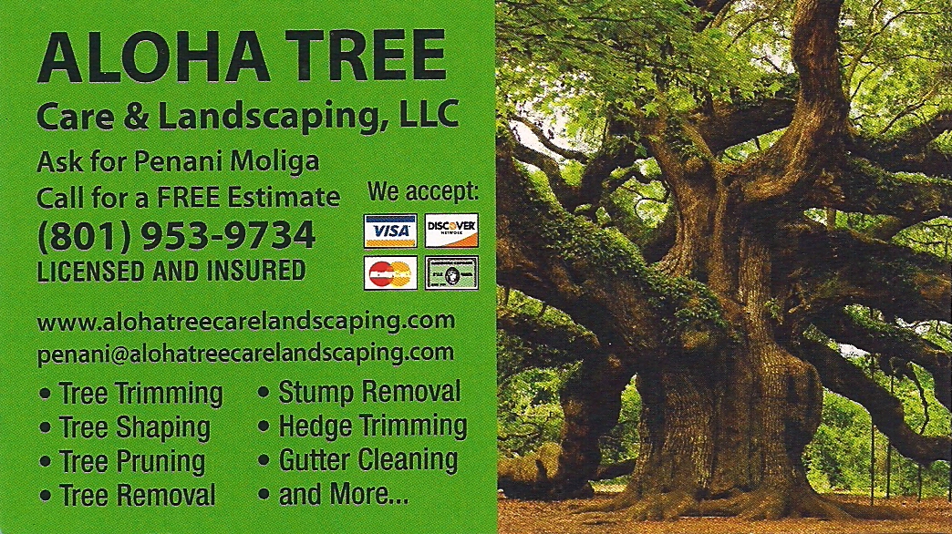 Aloha Tree & Landscaping, LLC