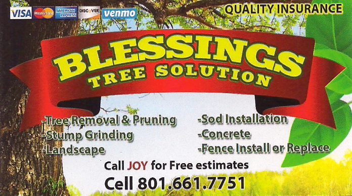 Blessings Tree Solutions