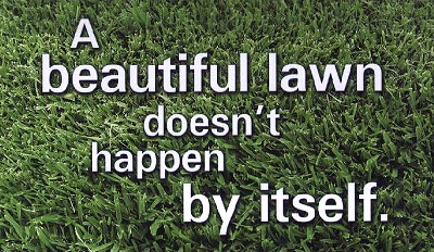 Photo of Lawncare