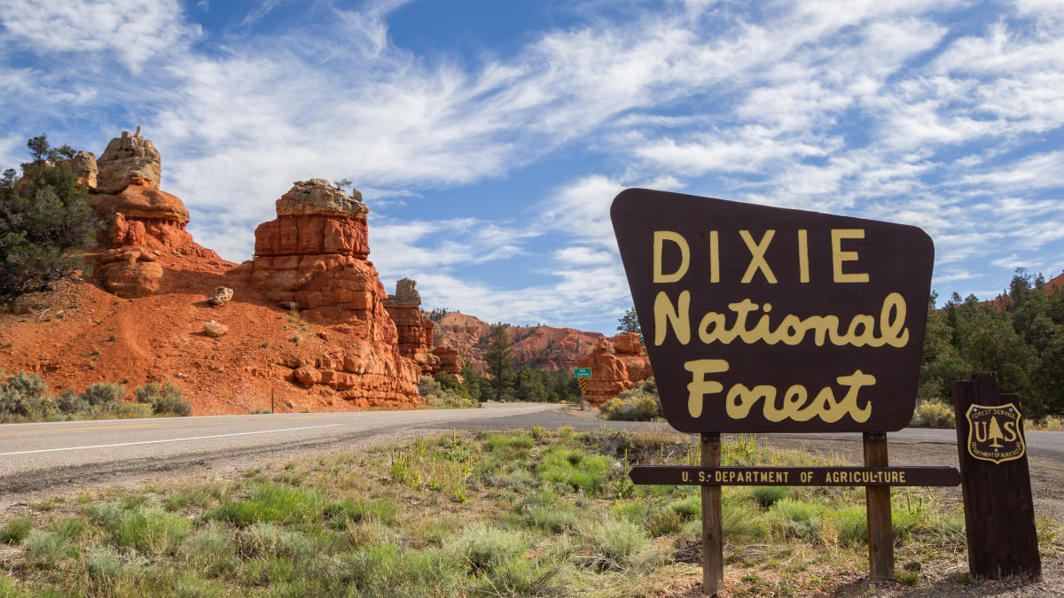 Utah National Monument - Dixie National Forest #3