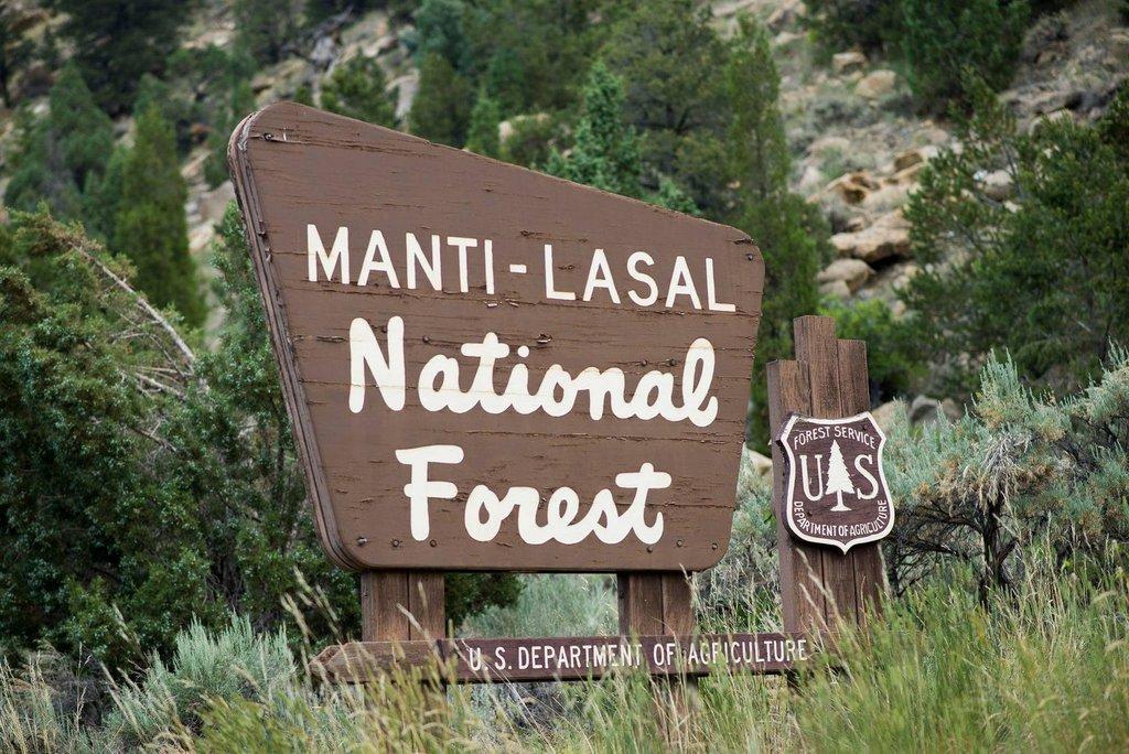 Utah National Monument - Manti La Sal National Forest #3