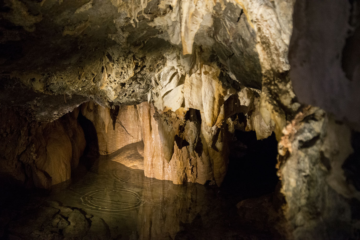 Utah National Monument - Timpanogos Cave #29