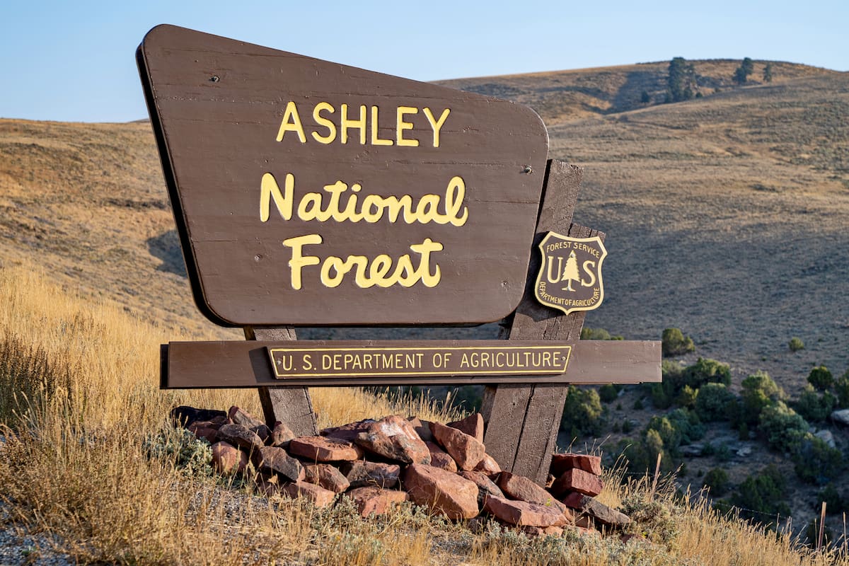 Utah National Monument - Ashley National Forest #1